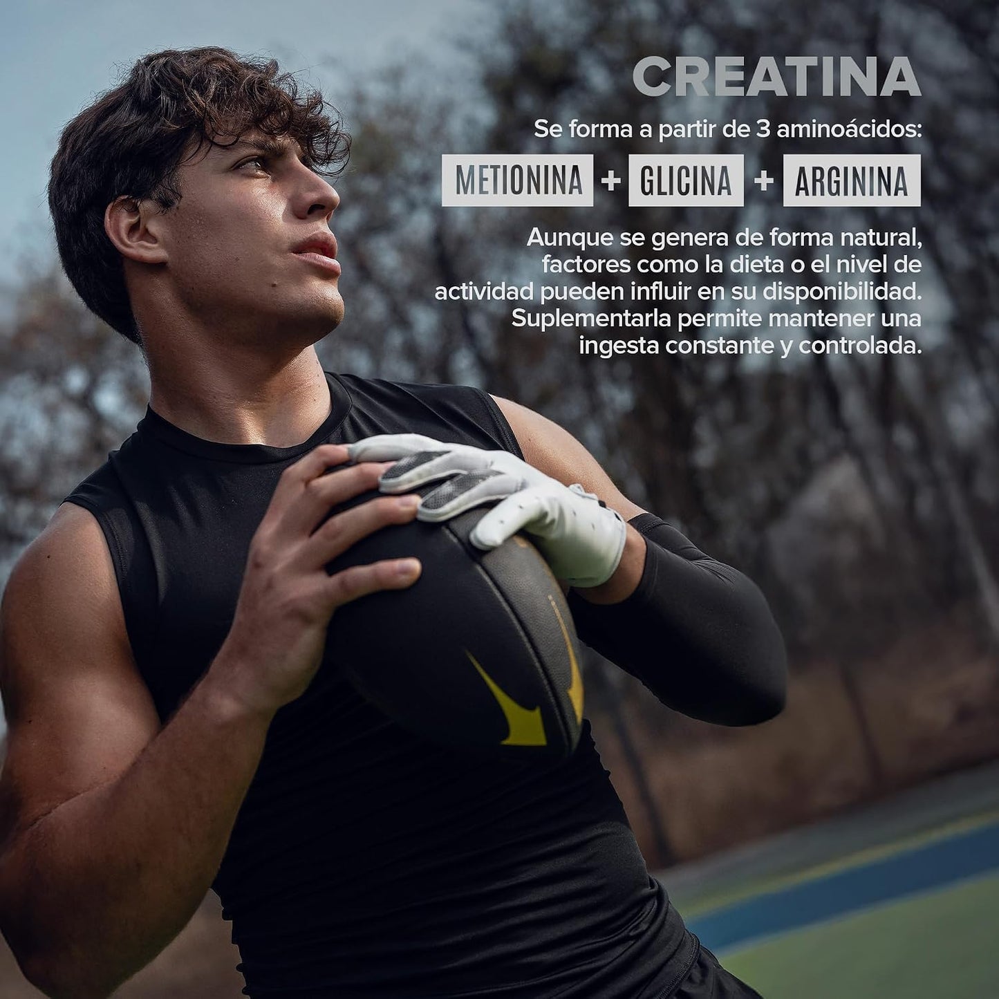 BIRDMAN Micronized Creatine Monohydrate Powder, Unflavored, High-Purity, Organic, Muscle Recovery, Caffeine Free Pre Workout, Post Workout, Gluten Free, Sugar Free